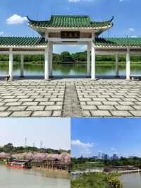 海珠濕地公園,春日賞花休閒的寶藏地!