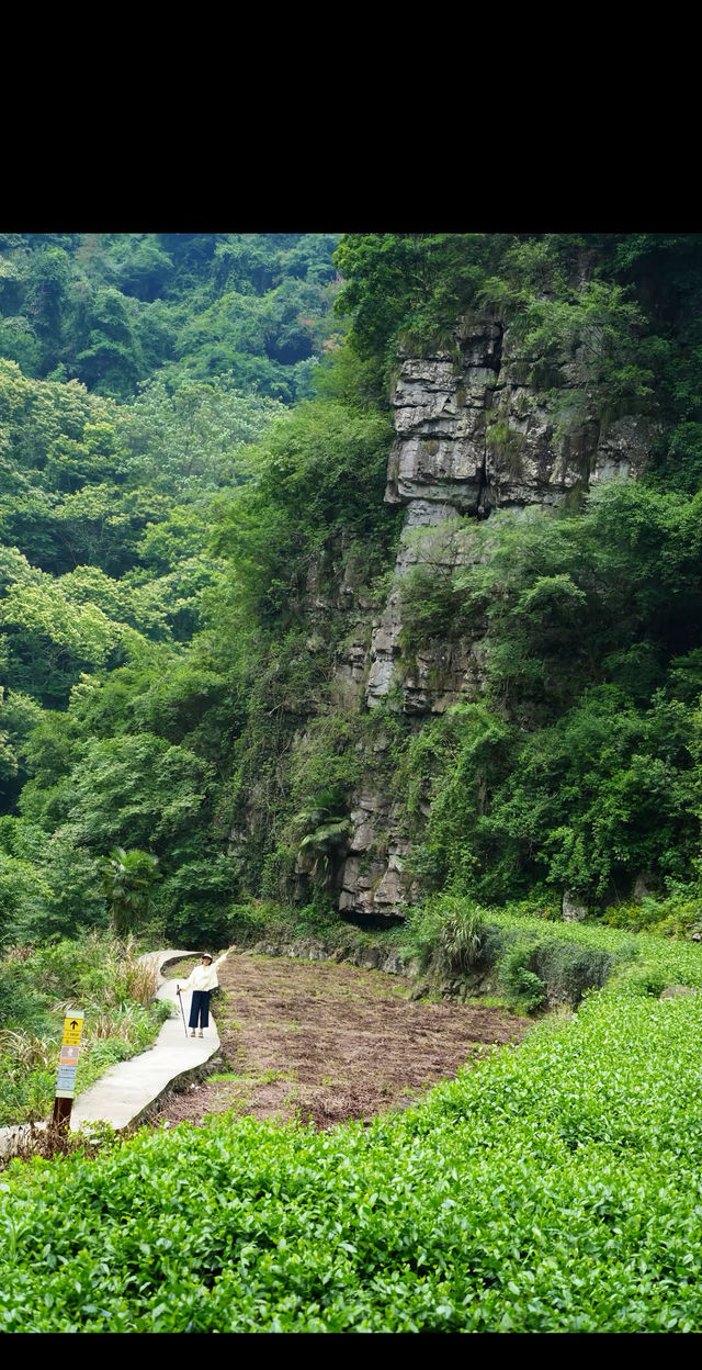 陰雨天韓妃江古道徒步攻略 | 秘境打卡&路線指南