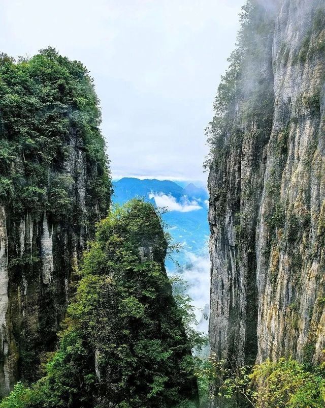 秋染絕壁！打卡雲海+喀斯特奇觀，恩施大峽谷2天1夜攻略：   恩施大峽谷作為「世界地質公園」，秋日裏