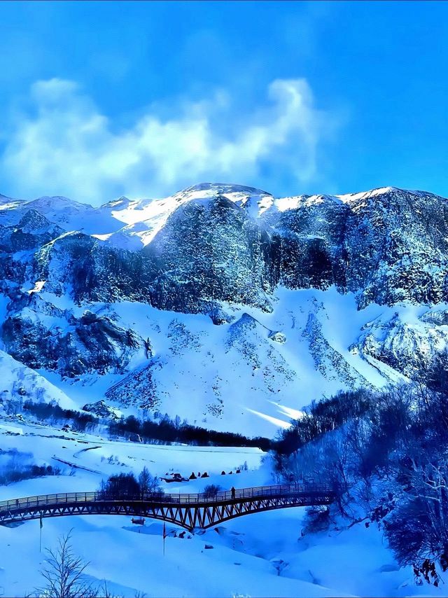 讓我們投入到這冰天雪地的世界，來一次冰雪奇緣！