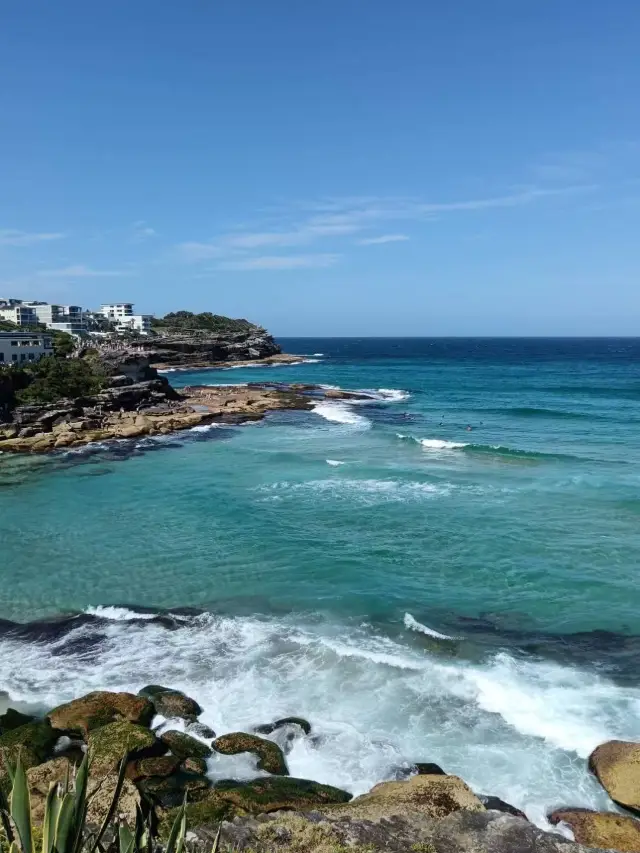 這片海治癒一切