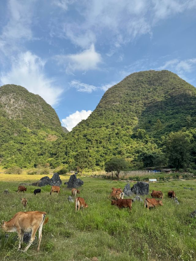 柳州鹿寨 廣西阿勒泰，無濾鏡直出，不踩雷!