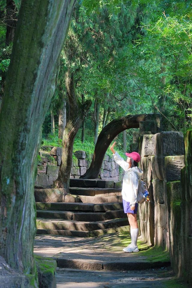 成都1h |初秋徒步雲頂山脊探索山野秘境！
