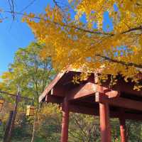秋意濃情，邂逅洛神公園的詩意時