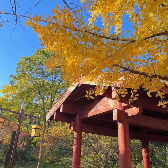秋意濃情，邂逅洛神公園的詩意時
