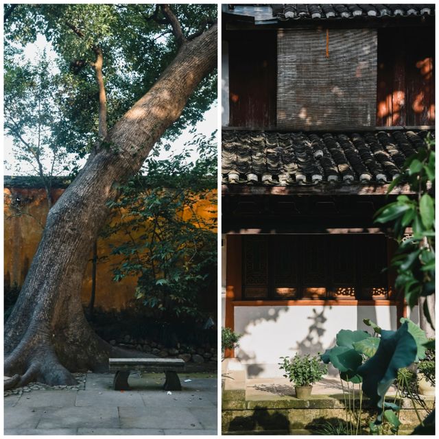 秋風微涼，稻穀滿倉：自耕自食的低調佛國，1400年不收門票