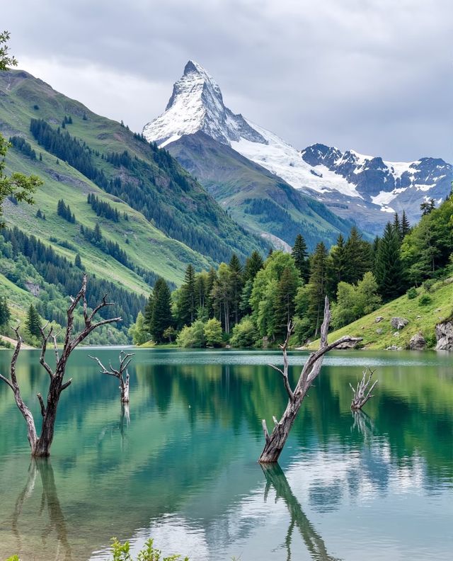 祁連山絕美秋景｜這片金色童話世界藏不住了