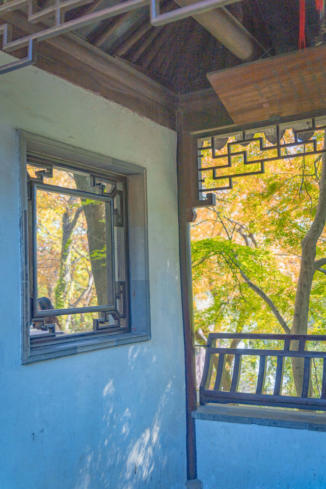 虎丘風景區拍照秋天,附拍照打卡旅遊攻略 虎丘風景區拍照秋天,附拍照打卡旅遊攻略