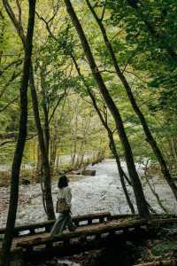 青森奧入瀨溪流+十和田湖一日散步路線