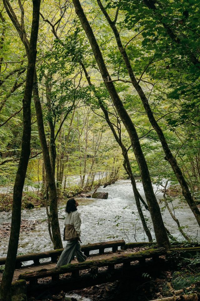 青森奧入瀨溪流+十和田湖一日散步路線 青森奧入瀨溪流+十和田湖一日散步路線