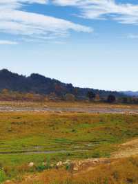 水上紅葉、晨霧牧牛，秋季必打卡的天堂