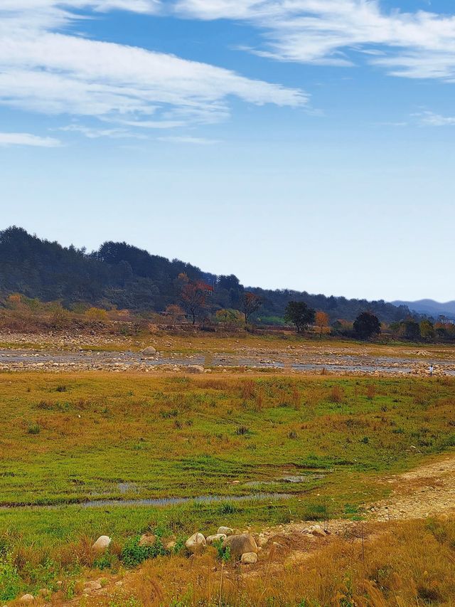 水上紅葉、晨霧牧牛，秋季必打卡的天堂