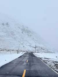 雪山之下，彩林環繞，這裡的秋天美到讓人忘詞！