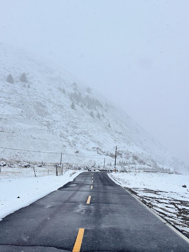 雪山之下，彩林環繞，這裡的秋天美到讓人忘詞！