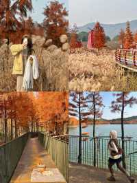 已經開始期待深秋的紹興了！「附地址」