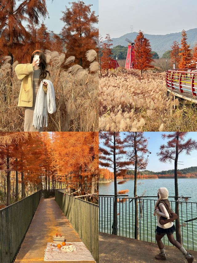 已經開始期待深秋的紹興了！「附地址」