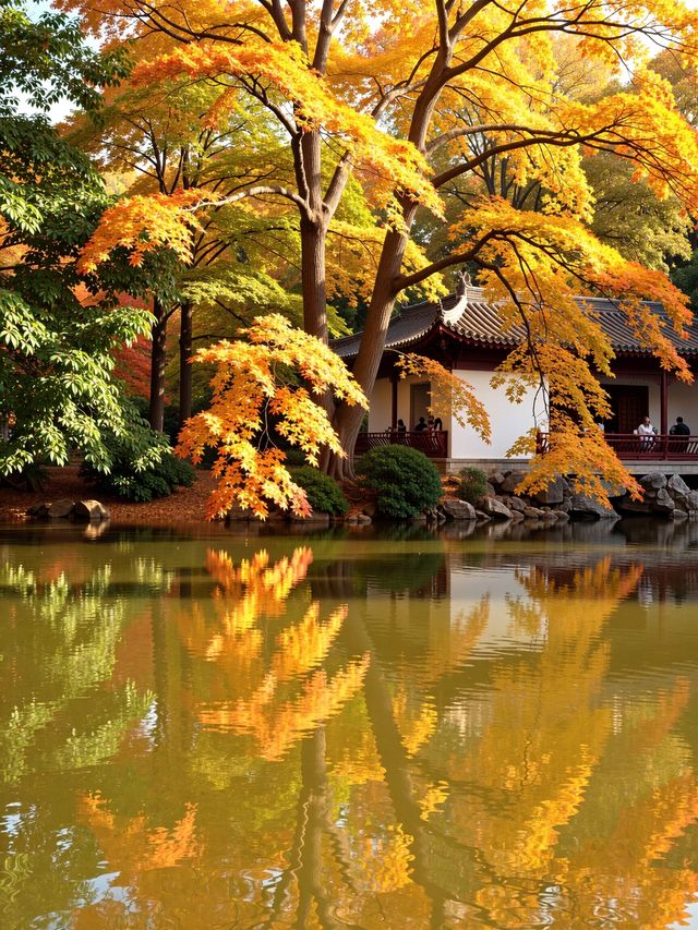 被上帝私藏的調色盤！雲平山秋日秘境遊記