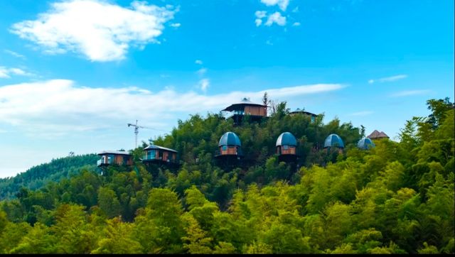 桃花江竹海遊玩攻略：竹知道，你該來浪了！