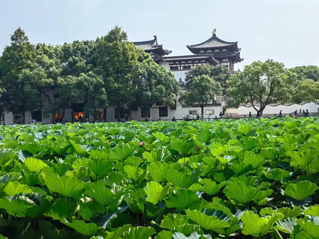 普陀山週末兩天一夜遊詳細攻略