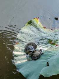 普陀山週末兩天一夜遊詳細攻略