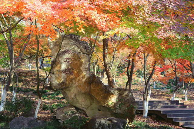 秋遊南京3日遊這份攻略碼住不虧