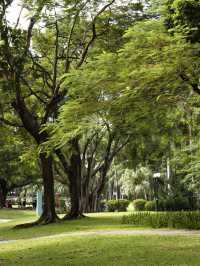 洪湖公園打卡|遛彎觀鳥拍荷花的治癒半日遊