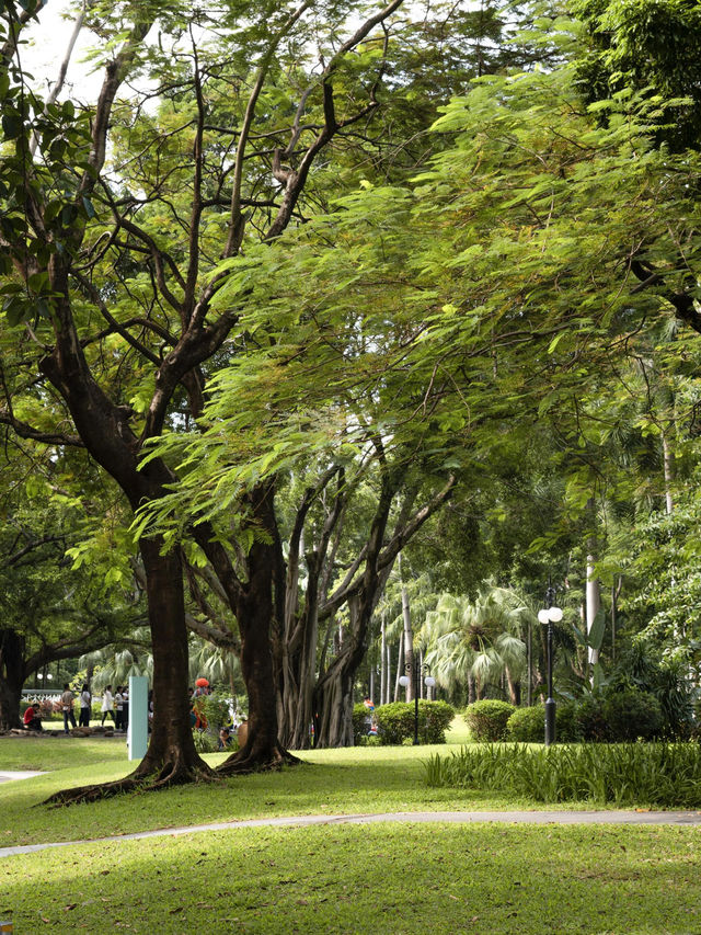 洪湖公園打卡|遛彎觀鳥拍荷花的治癒半日遊 洪湖公園打卡|遛彎觀鳥拍荷花的治癒半日遊