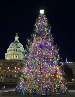พิธีจุดไฟต้นคริสต์มาสที่ทำเนียบขาวและการเฉลิมฉลองสันติภาพ