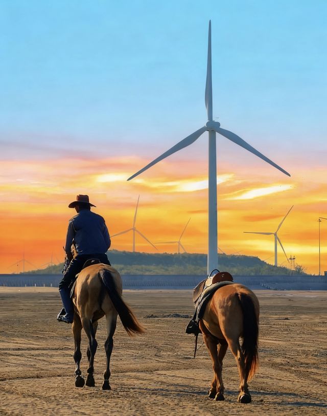 江蘇看海天花板!啟東黃金海灘保姆級攻略 江蘇看海天花板!啟東黃金海灘保姆級攻略