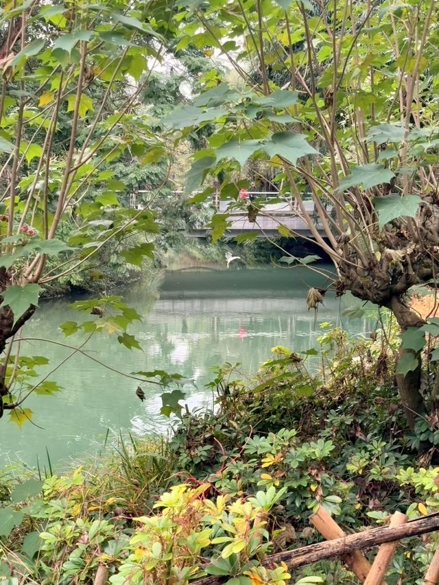 浣花溪公園：在詩箋竹影裡打撈杜甫的漣漪