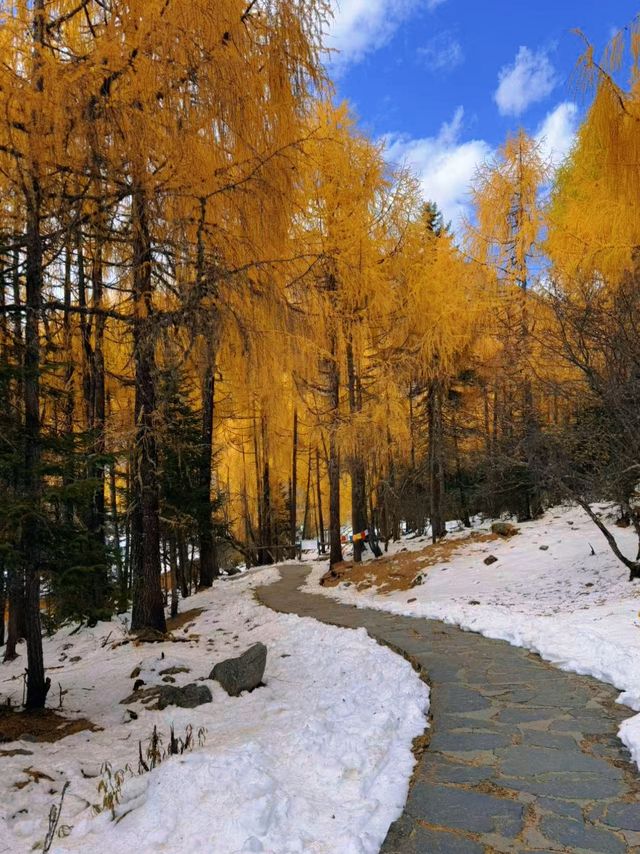 川西冬日天花板！木格措靚到令人詞窮