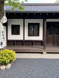 甘肅秘境預警比九寨更美嘅小彩林被我搵到喇