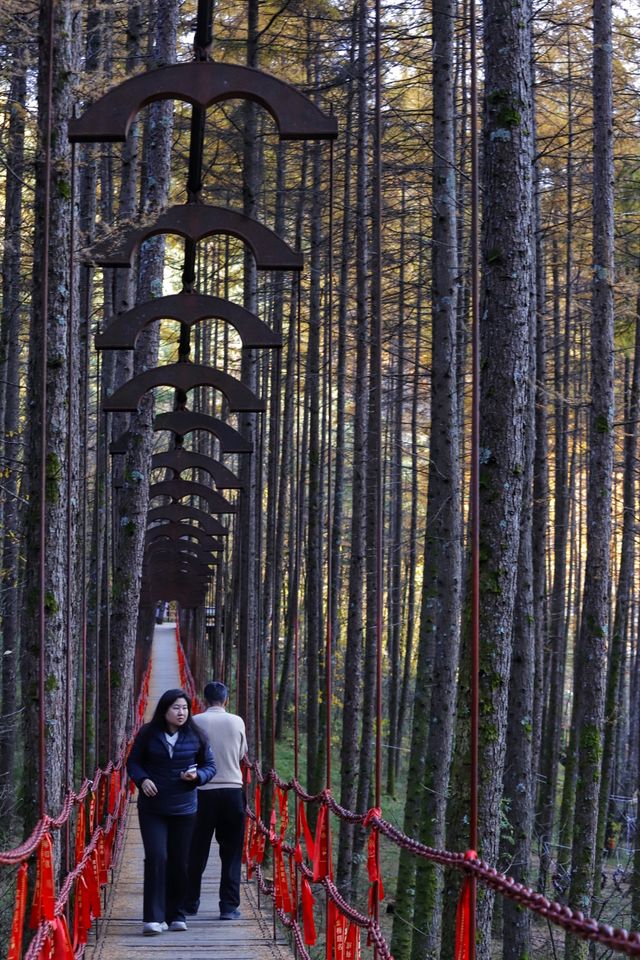 秦嶺留壩環線之情人谷