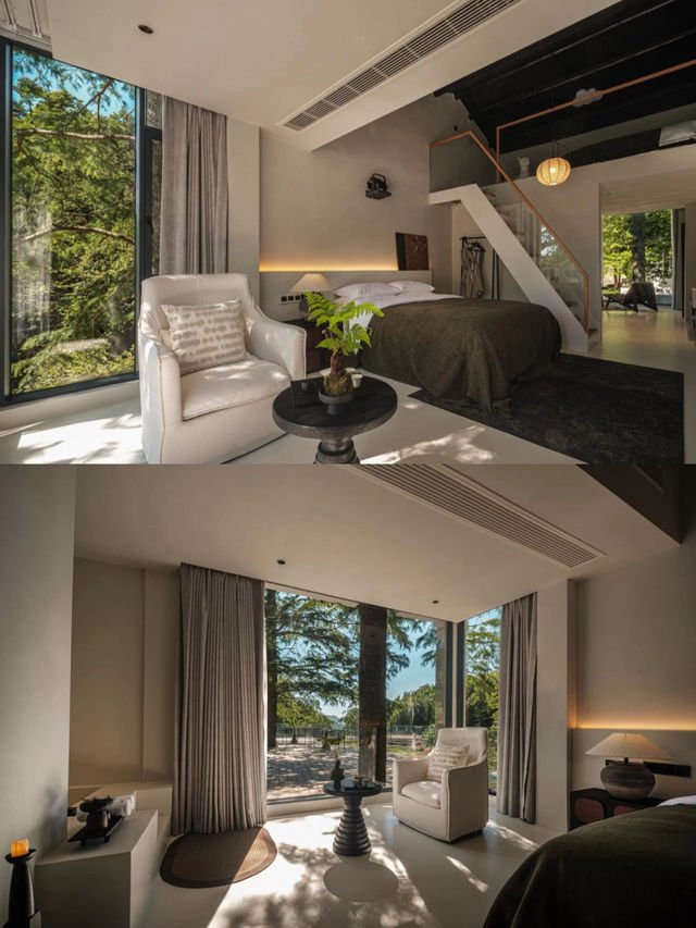 25℃的夏天！四明山雲自泊民宿藏進森林氧吧！