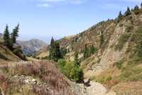 Exceptional Driving and Conversation Experience