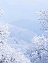 龍王山霧淞仙境冬日限定的冰雪奇緣打開方式