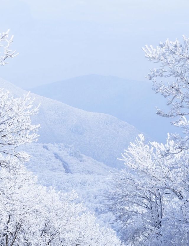 龍王山霧淞仙境冬日限定的冰雪奇緣打開方式