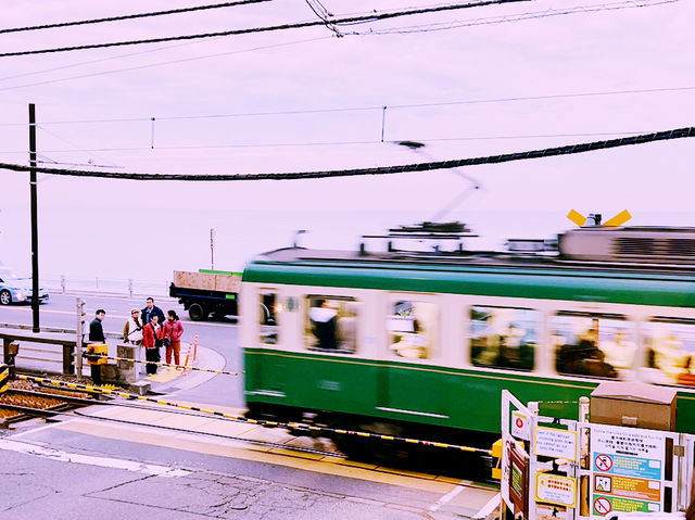 自帶 BGM 的熱血青春回憶｜湘南海岸 × 江之電 🚃🌊