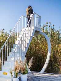 杭州秋日天花板|西溪濕地秋蘆飛雪懶人攻略