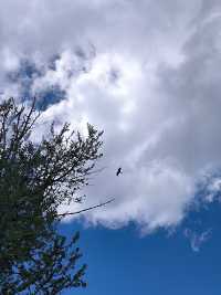 被喀納斯的美震撼到說不出話這才是新疆旅遊的天花板,阿勒泰皇冠上的明珠說的就是這裡吧 【必