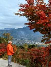 恩施大峽谷遊玩實測！和張家界比到底差在哪？   寶子們！之前一直聽說恩施名字自帶“仙氣”，滿懷期待去