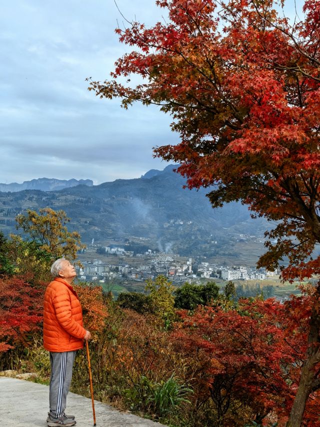 恩施大峽谷遊玩實測！和張家界比到底差在哪？   寶子們！之前一直聽說恩施名字自帶“仙氣”，滿懷期待去