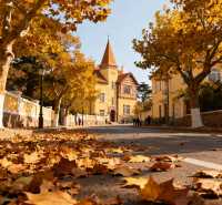 八大關的秋天,是上帝打翻的調色盤|青島賞秋天花板