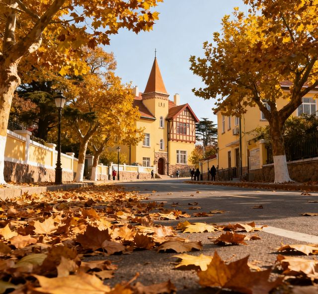 八大關的秋天,是上帝打翻的調色盤|青島賞秋天花板 八大關的秋天,是上帝打翻的調色盤|青島賞秋天花板