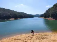 春節版納普洱行