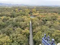 鐘山景區一日遊攻略 反方向路線避開人流