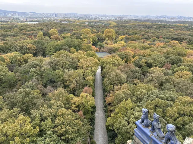 鐘山景區一日遊攻略 反方向路線避開人流