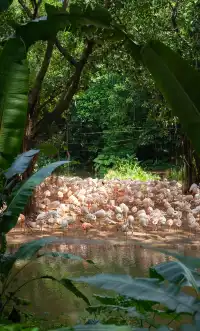 12月很適合去的旅行目的地推薦