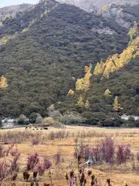 一人行公共交通稻城亞丁三天分享25.10.30