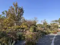 上海植物園！藏在市區的森林秘境